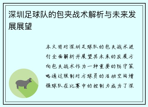 深圳足球队的包夹战术解析与未来发展展望